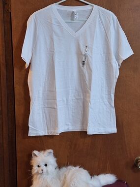 Bella Canvas White V-Neck Tee